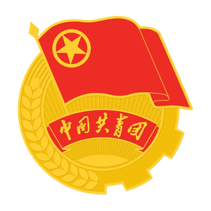 共青团通城县委员会